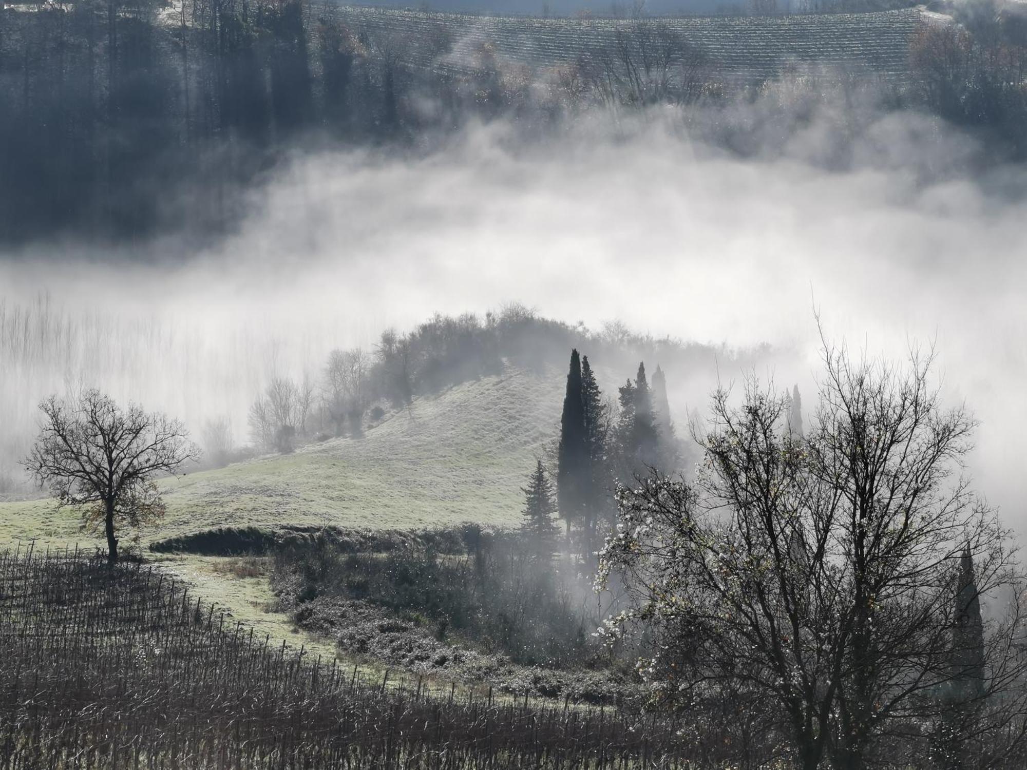 تْشيرتالدو Agriturismo Bio Fattoria Bacio المظهر الخارجي الصورة